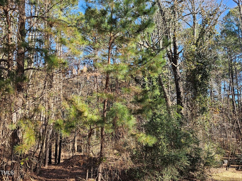 625 Pearson Dr Lot 198-201, Durham, NC 27713