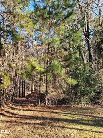 625 Pearson Dr Lot 198-201, Durham, NC 27713