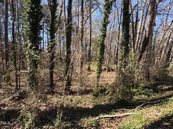 626 Nc 54  Lot TR#C TR#D, Durham, NC 27713
