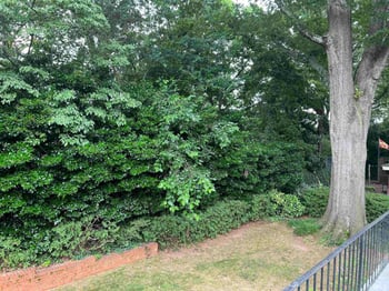 626 Smedes Pl, Raleigh, NC 27605