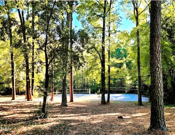 628 Oleander Rd, Raleigh, NC 27603