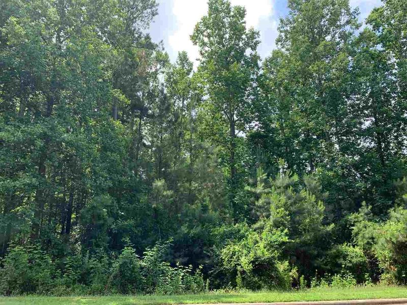 629 Chapel Ridge Dr Lot 57, Pittsboro, NC 27312