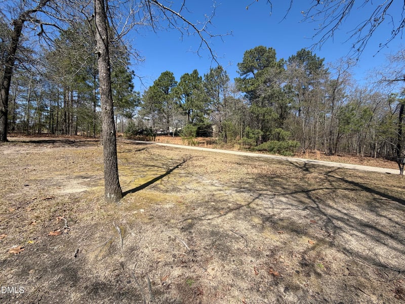 63 Mullins Dr, Lillington, NC 27546