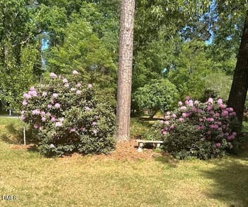 6309 Windy Ridge Ct, Raleigh, NC 27606