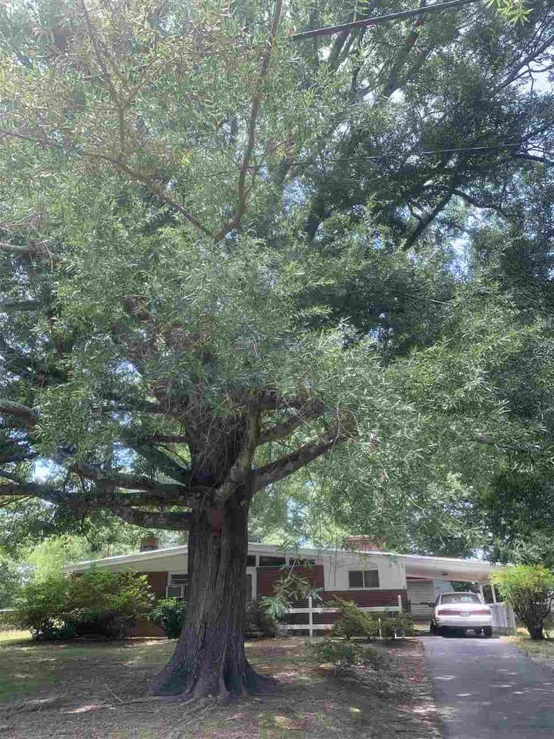 6313 Johnsdale Rd, Raleigh, NC 27615