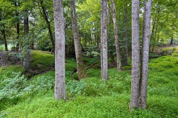 6321 Mountain Grove Ln, Wake Forest, NC 27587