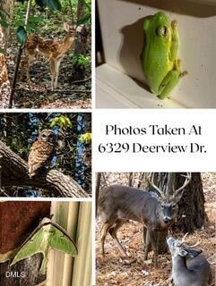 6329 Deerview Dr, Raleigh, NC 27606