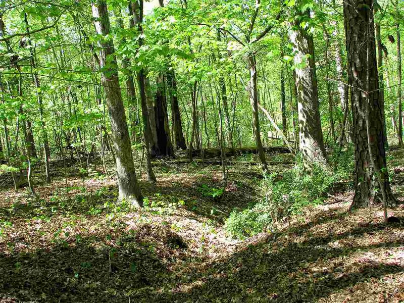 6338 Nc 42 Hw, Garner, NC 27529