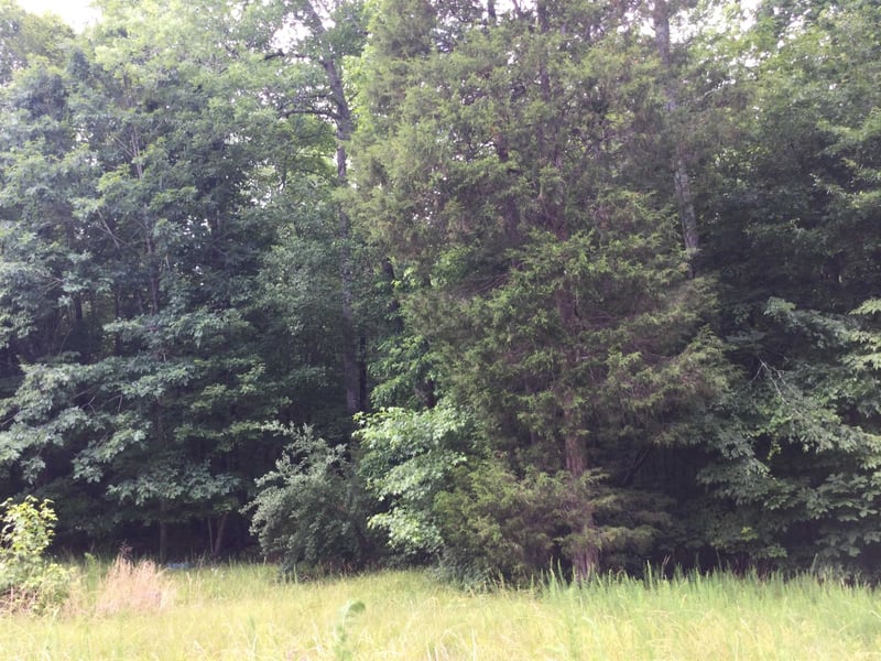 6397 Cane Creek Rd, Snow Camp, NC 27349