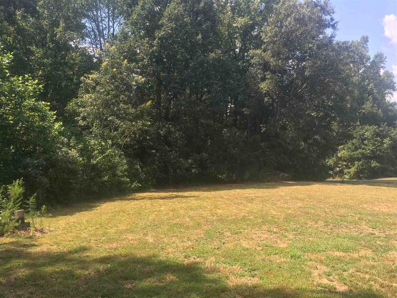 6412 Robertson Pond Rd, Wendell, NC 27591