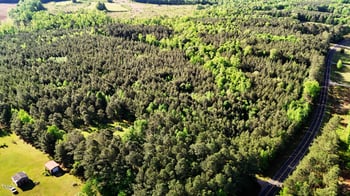 642 Breedlove Rd, Louisburg, NC 27549