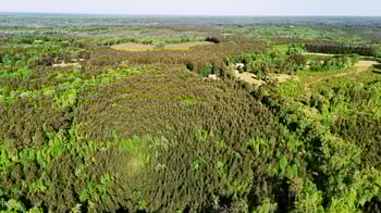 642 Breedlove Rd, Louisburg, NC 27549