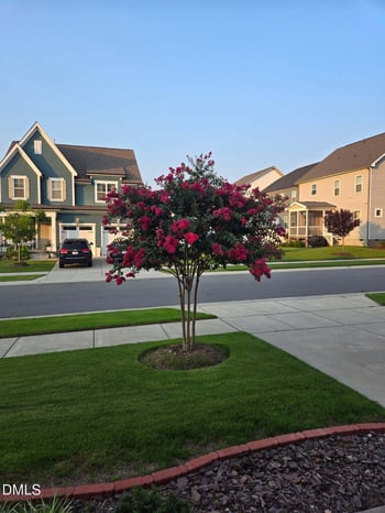 648 Future Islands Way, Wendell, NC 27591