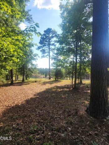 65 High Ridge Ln Lot 106, Pittsboro, NC 27312