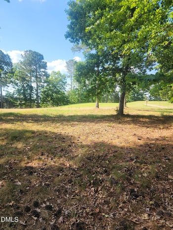 65 High Ridge Ln, Pittsboro, NC 27312
