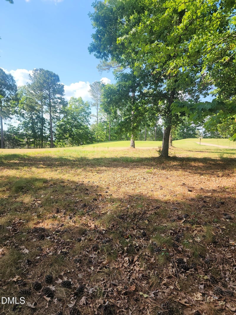 65 High Ridge Ln, Pittsboro, NC 27312