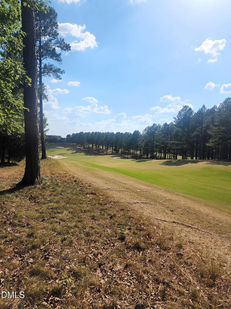 65 High Ridge Ln, Pittsboro, NC 27312