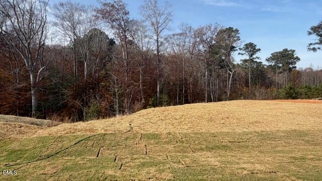 65 Neuse Hollow Ct, Clayton, NC 27527