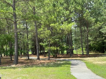 65 Shorrey Pl, Youngsville, NC 27596