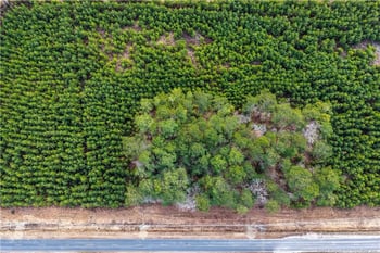 652 Melstone Dr, Fayetteville, NC 28311