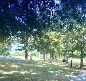 6525 Battle Bridge Rd Lot 1, Raleigh, NC 27610