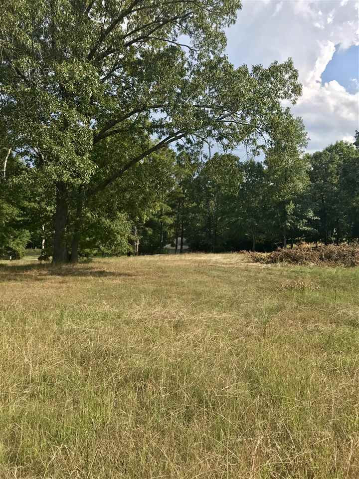 6525 Battle Bridge Rd Lot 1, Raleigh, NC 27610