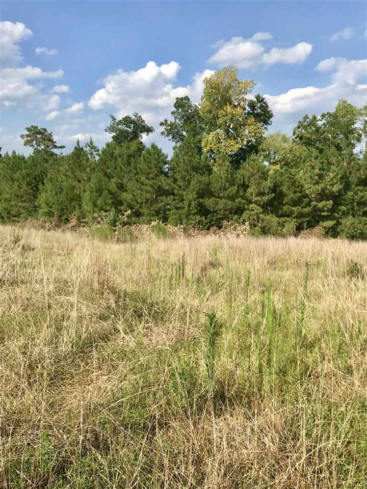 6525 Battle Bridge Rd Lot 1, Raleigh, NC 27610