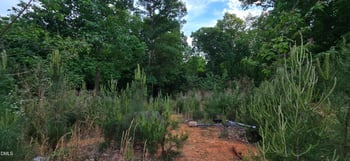 6530 Treetop Ct Lot 104454, Snow Camp, NC 27349