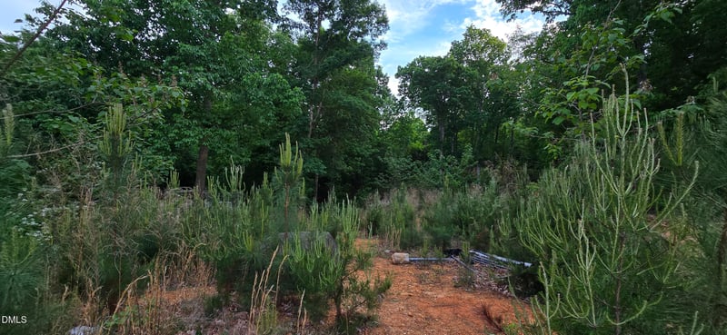 6530 Treetop Ct Lot 104454, Snow Camp, NC 27349