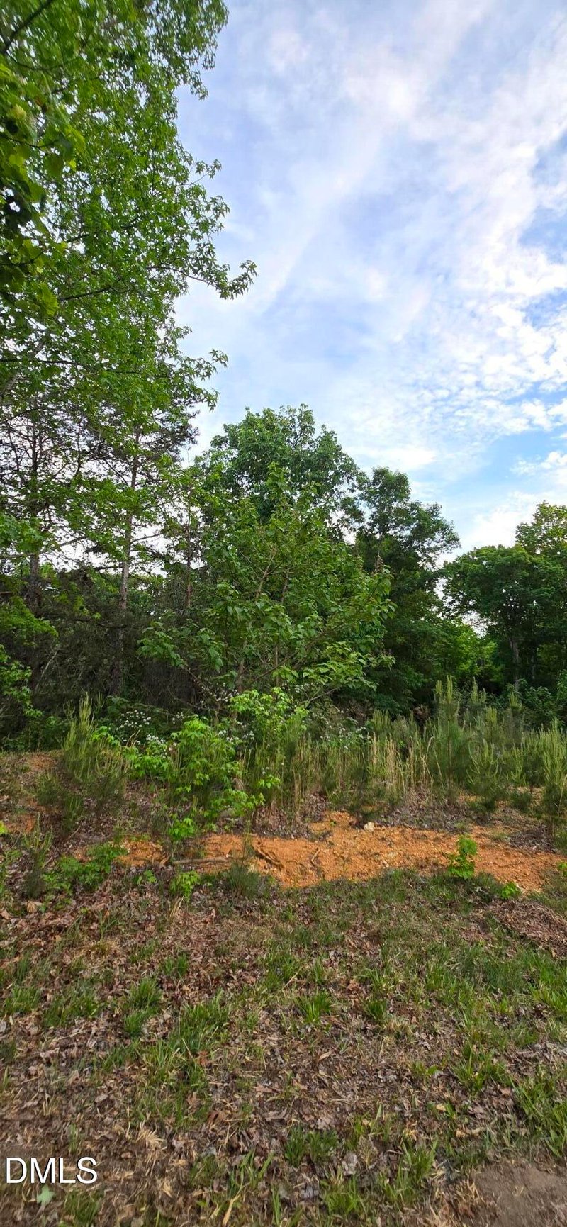 6530 Treetop Ct Lot 104454, Snow Camp, NC 27349