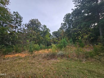 6530 Treetop Ct Lot 23, Snow Camp, NC 27349