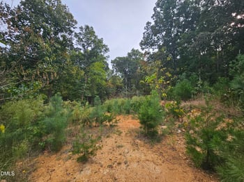 6530 Treetop Ct Lot 23, Snow Camp, NC 27349