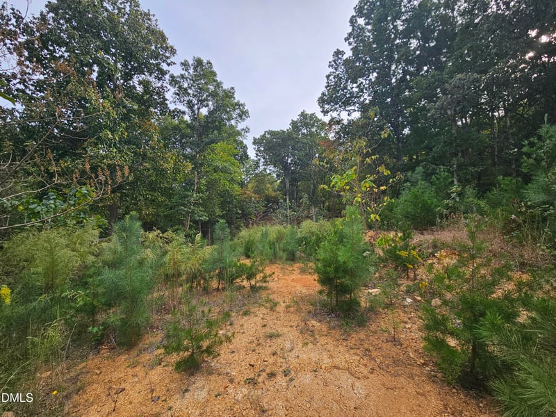 6530 Treetop Ct Lot 23, Snow Camp, NC 27349