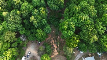 6530 Treetop , Snow Camp, NC 27349