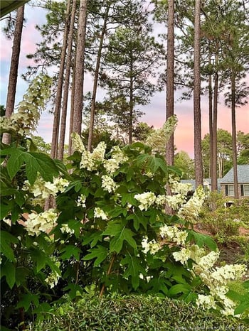 6533 Countryside Dr, Fayetteville, NC 28311