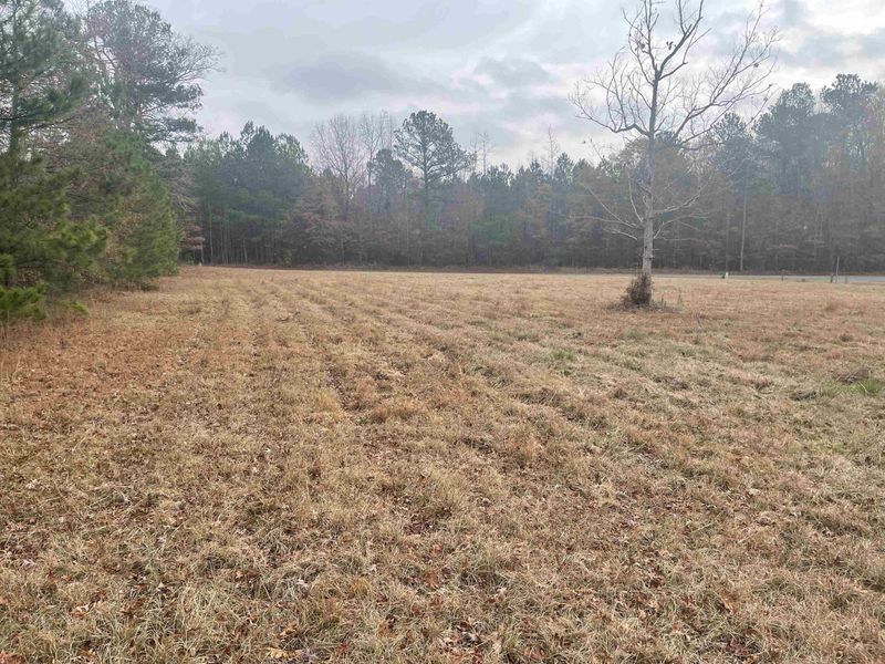 66 Ewing Dr Lot 3R, Selma, NC 27576