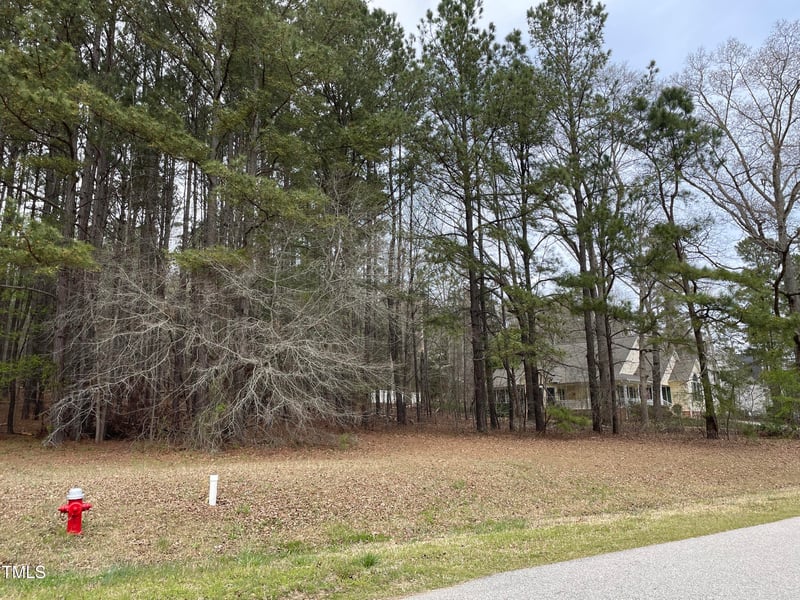 660 Cross Link Dr Lot 19, Angier, NC 27501
