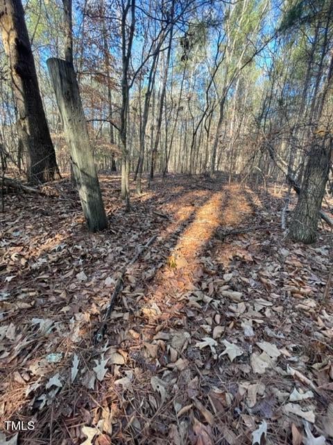 660 Cross Link Dr Lot 19, Angier, NC 27501