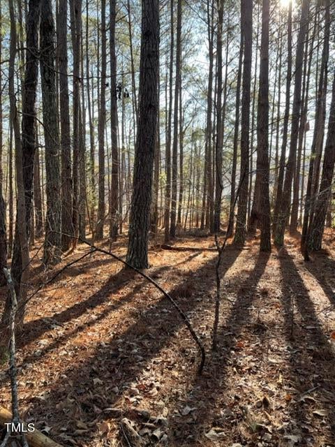 660 Cross Link Dr Lot 19, Angier, NC 27501