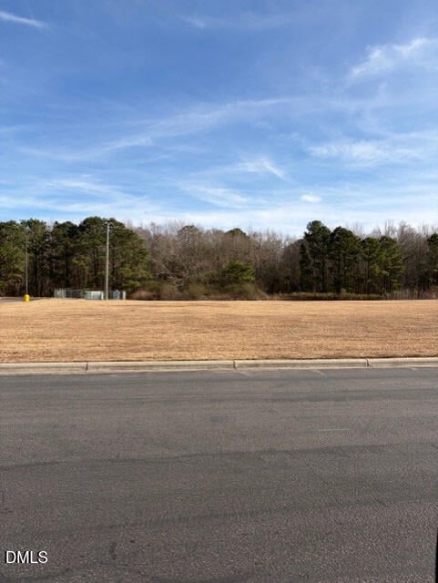 660 Jackson Blvd, Erwin, NC 28339