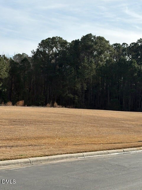 660 Jackson Blvd, Erwin, NC 28339