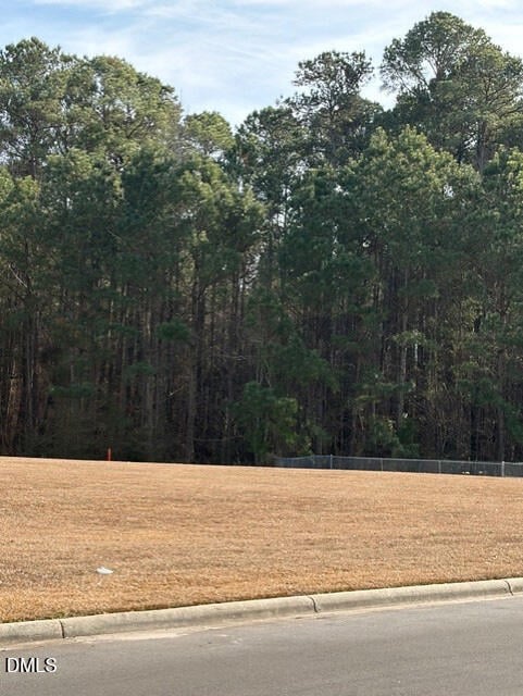 660 Jackson Blvd, Erwin, NC 28339