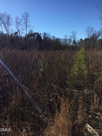 6600 Lebanon Rd, Mebane, NC 27302