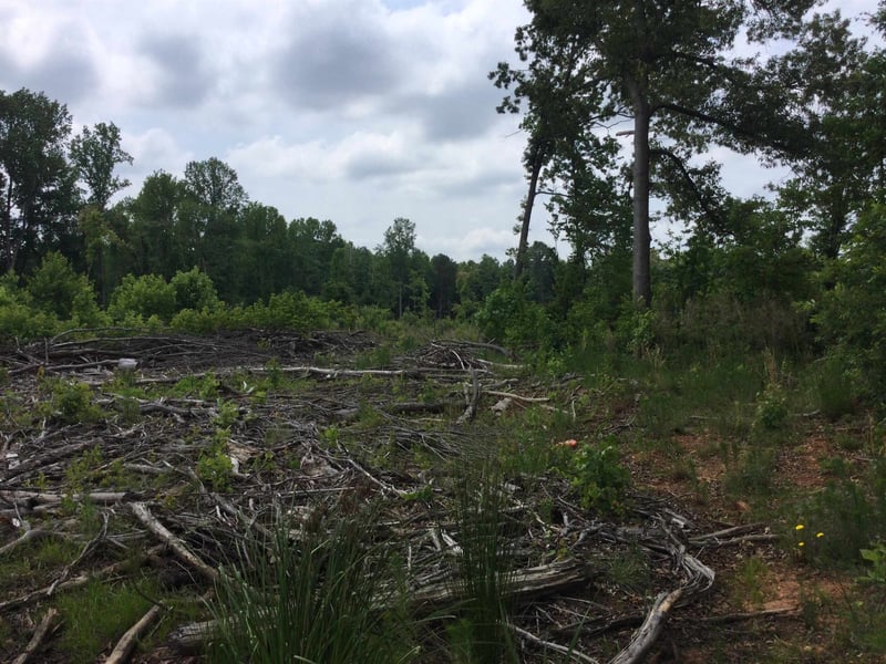 6600 Lebanon Rd, Mebane, NC 27302