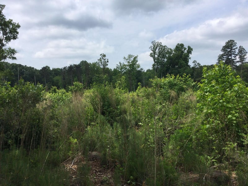 6600 Lebanon Rd, Mebane, NC 27302