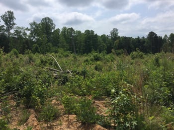 6600 Lebanon Rd, Mebane, NC 27302