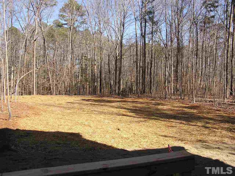 6617 Blalock Forest Dr, Willow Springs, NC 27592