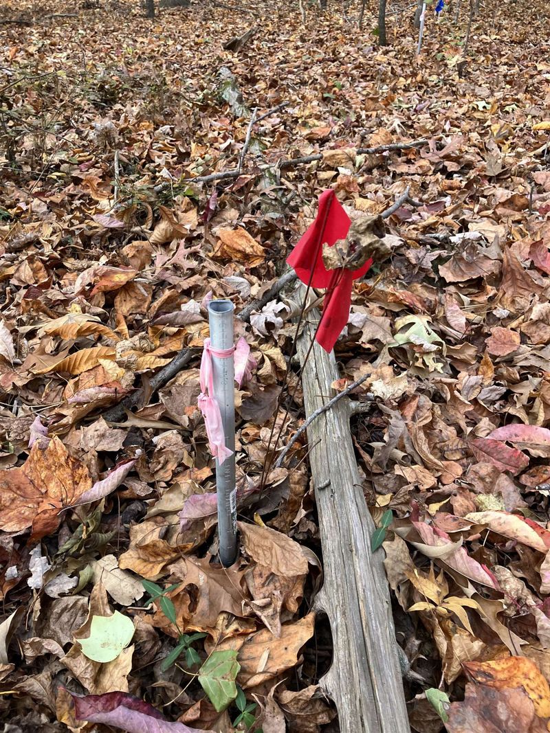 6619 Craig Rd Lot 7, Durham, NC 27712