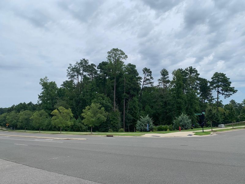 6656 Perry Creek Rd #1017, Raleigh, NC 27616