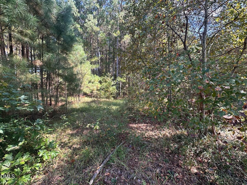 6670 Nc 210 , Angier, NC 27501